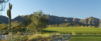 20658 Berridge Ln, Buckeye, AZ 85396
