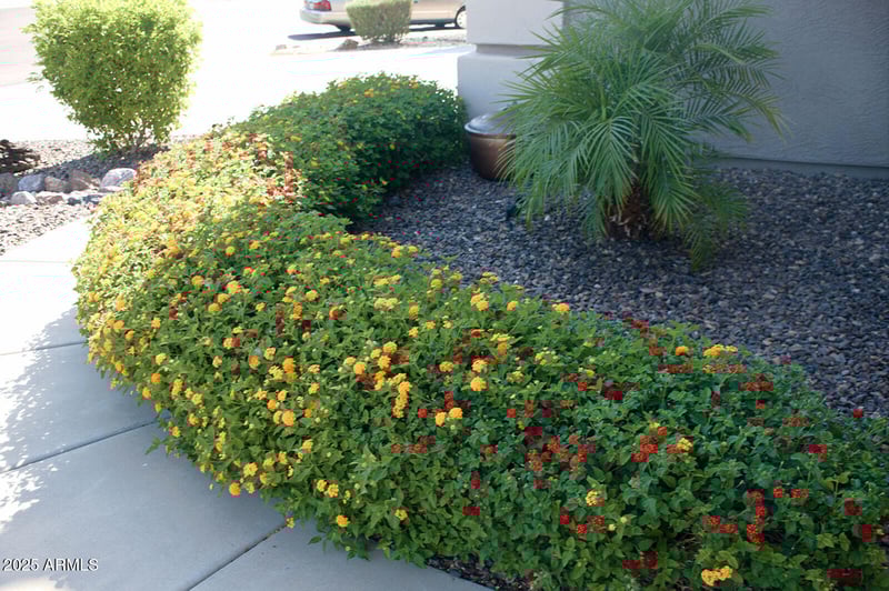 2074 37th Ave, Apache Junction, AZ 85119