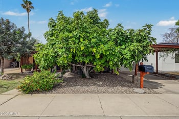208 N Horne --, Mesa, AZ 85203