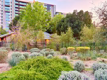 208 Portland St #155, Phoenix, AZ 85003