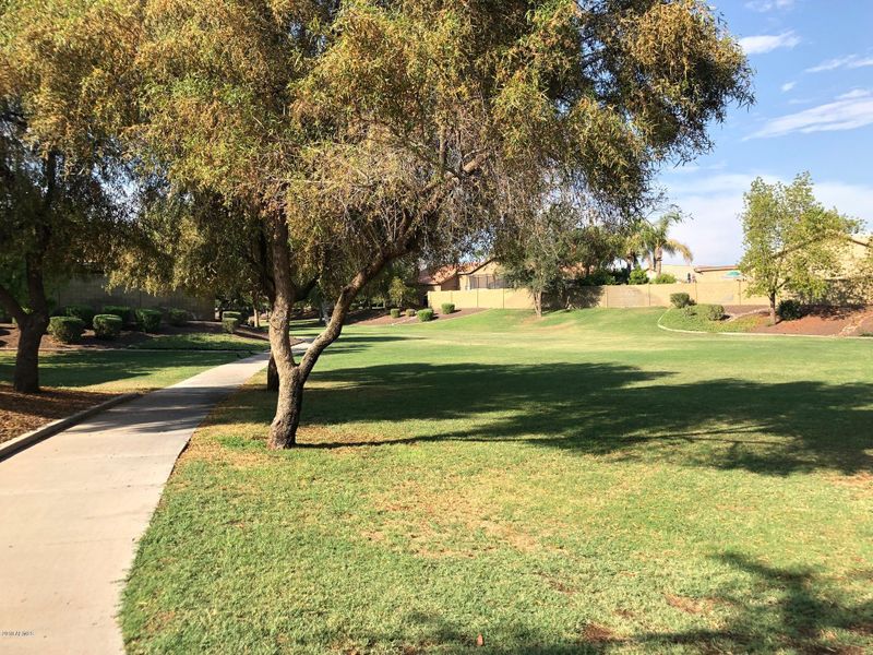 2081 E Ranch Ct, Gilbert, AZ 85296
