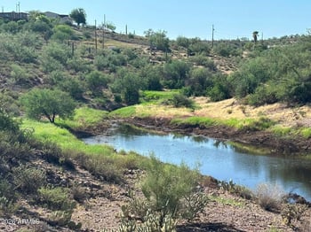 209 N Elizabeth St #103, Gold Canyon, AZ 85118