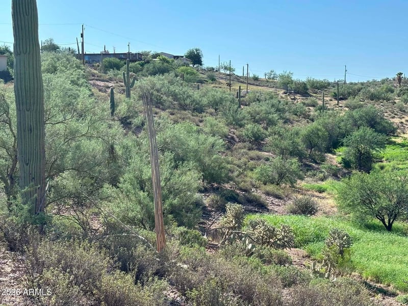 209 N Elizabeth St #103, Gold Canyon, AZ 85118