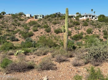 209 N Elizabeth St #103, Gold Canyon, AZ 85118