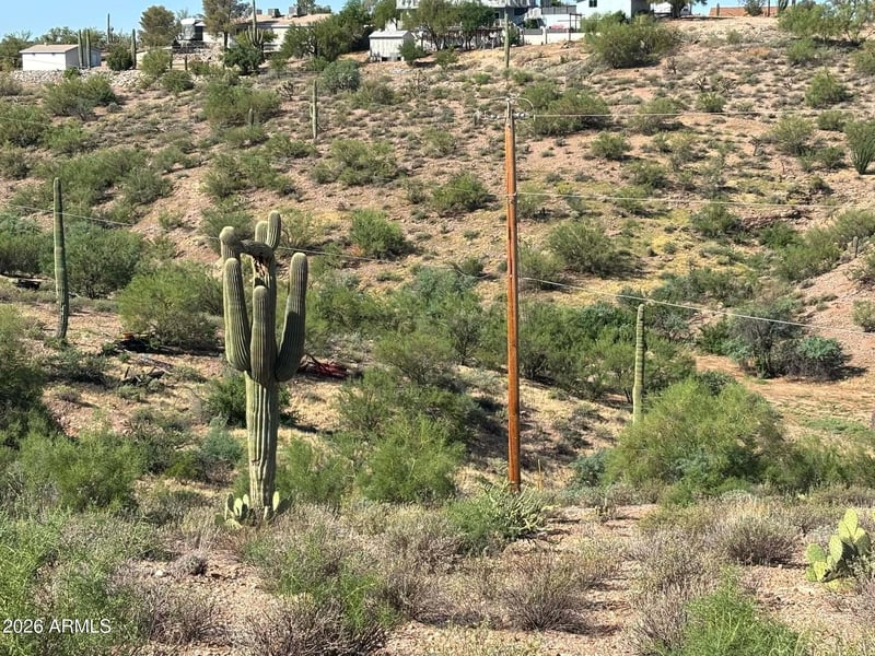 209 N Elizabeth St #103, Gold Canyon, AZ 85118