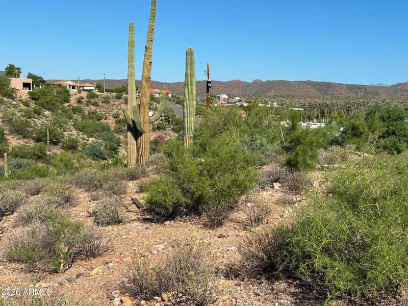 209 N Elizabeth St #103, Gold Canyon, AZ 85118