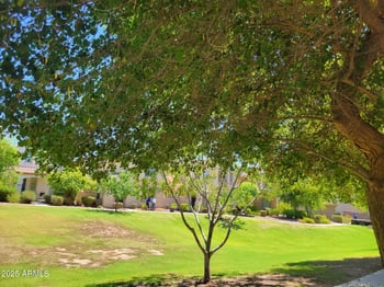 20909 Maiden Ln, Buckeye, AZ 85396