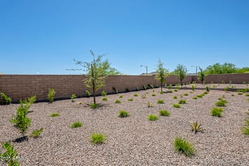 20983 Pasadena Ave, Buckeye, AZ 85396