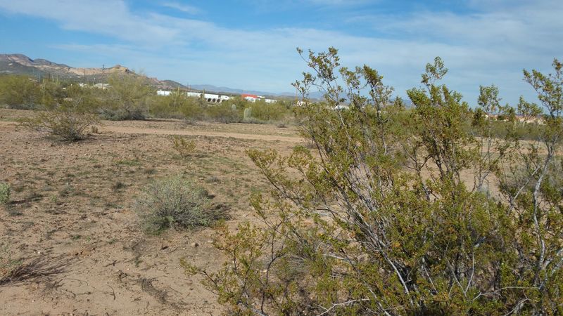 20XX E Foothill St #-, Apache Junction, AZ 85119