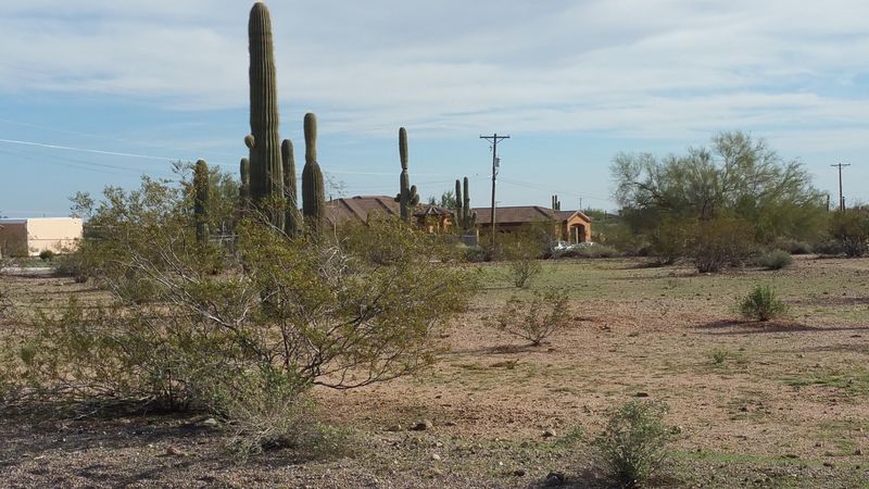 20XX E Foothill St #-, Apache Junction, AZ 85119