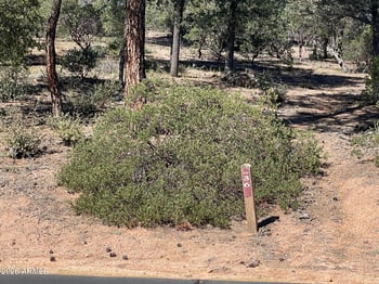 210 Rim Club Dr #36, Payson, AZ 85541