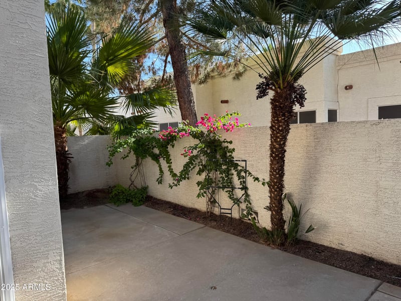 2100 Lemon Tree Pl #29, Chandler, AZ 85224