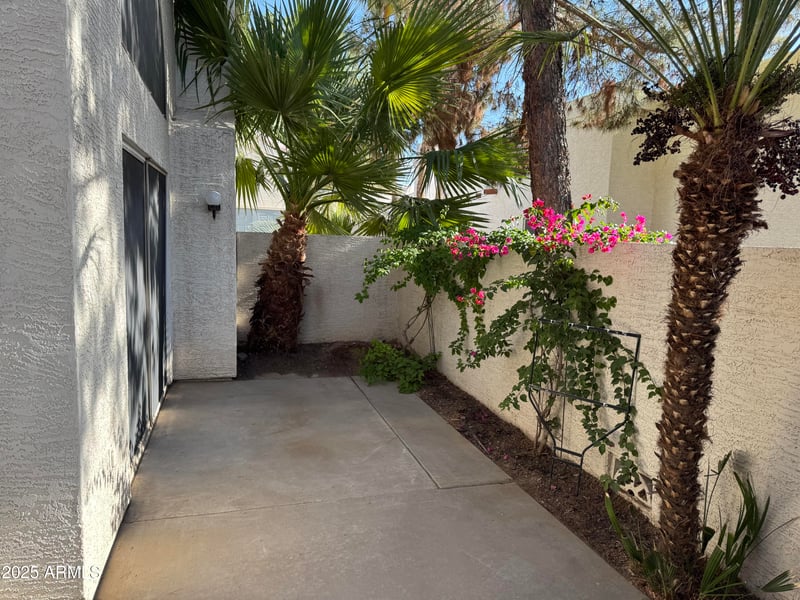 2100 Lemon Tree Pl #29, Chandler, AZ 85224