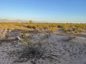 21000 Ocotillo Parcel 1&2 Rd #Approx, Buckeye, AZ 85326