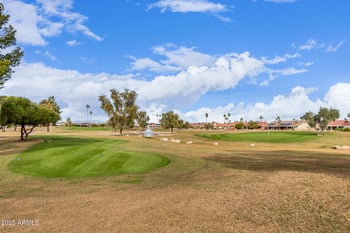 21007 124th Dr, Sun City West, AZ 85375