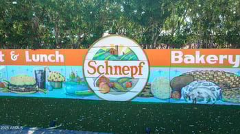 21120 Saddle Way, Queen Creek, AZ 85142