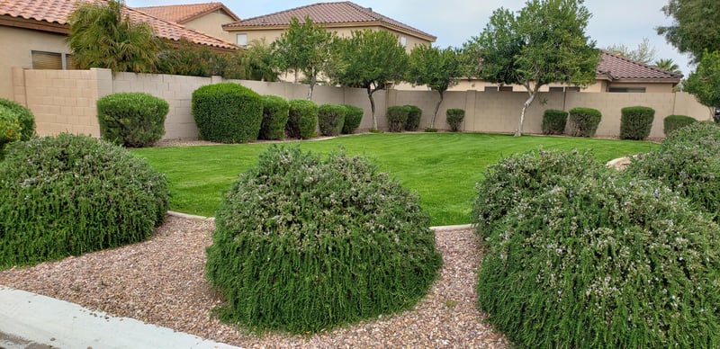 2114 E Spruce Dr, Chandler, AZ 85286