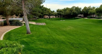 2114 E Spruce Dr, Chandler, AZ 85286