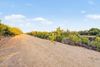 21165 Via Del Oro --, Queen Creek, AZ 85142
