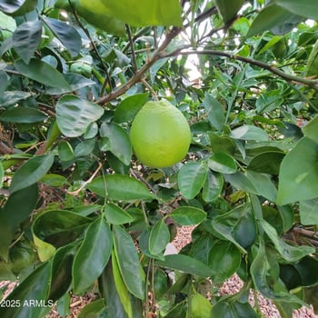 2121 Potter Dr, Phoenix, AZ 85027