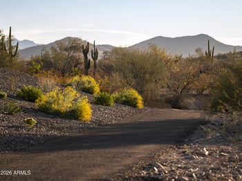 2121 Sonoran Desert Dr #67, Phoenix, AZ 85085