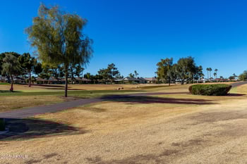21214 124th Ave, Sun City West, AZ 85375