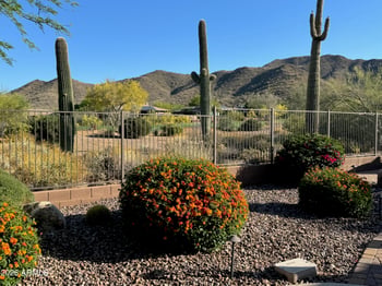 2136 W Camargo Dr, Anthem, AZ 85086