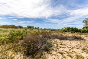 21404 Caravaggio Ln, Wittmann, AZ 85361