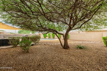 2145 Indianola Ave, Phoenix, AZ 85015