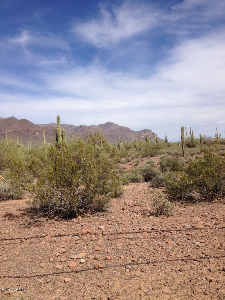 215 N Geronimo Rd, Apache Junction, AZ 85219