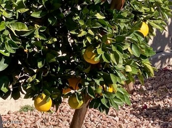 21531 72nd Pl, Scottsdale, AZ 85255