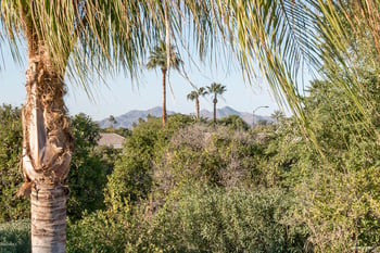 2154 N Pomelo Cir, Mesa, AZ 85215