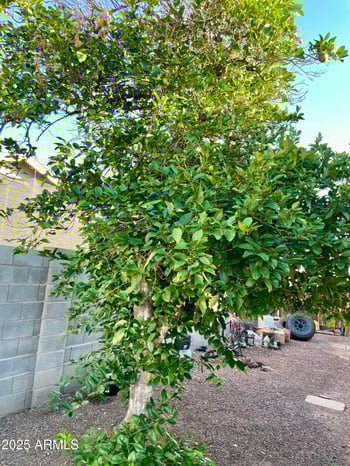 2158 Willow Ave, Phoenix, AZ 85029