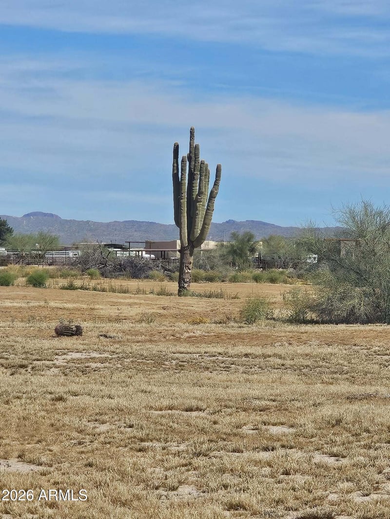 21600 2A Galvin St #1, Wittmann, AZ 85361