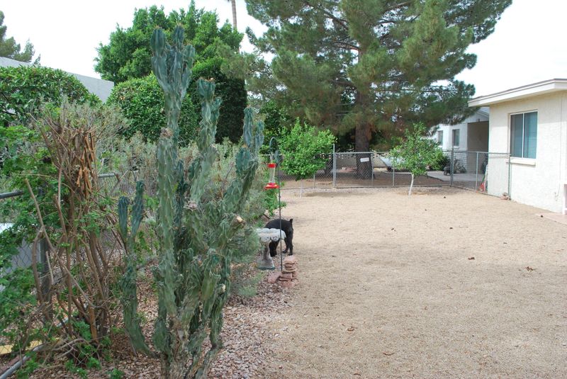 2163 N Middlecoff Dr, Mesa, AZ 85215