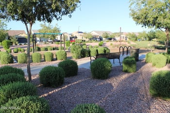 21659 E Waverly Dr, Queen Creek, AZ 85142