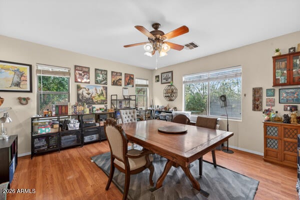 2176 E Aloe Pl, Chandler, AZ 85286