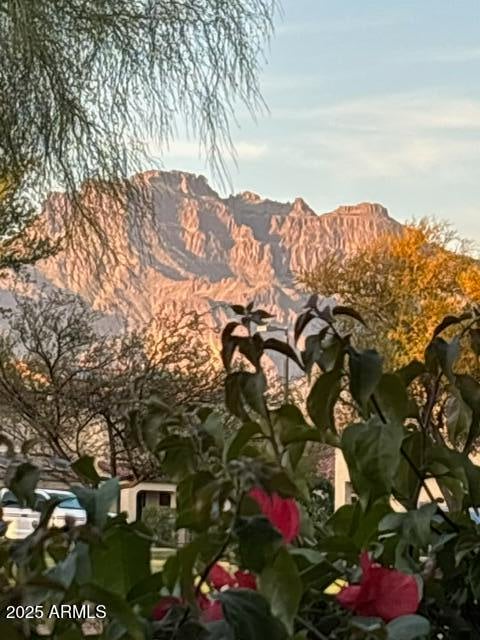 2181 27th Ave, Apache Junction, AZ 85119