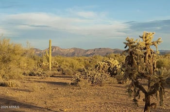 218XX Galvin St #4, Wittmann, AZ 85361