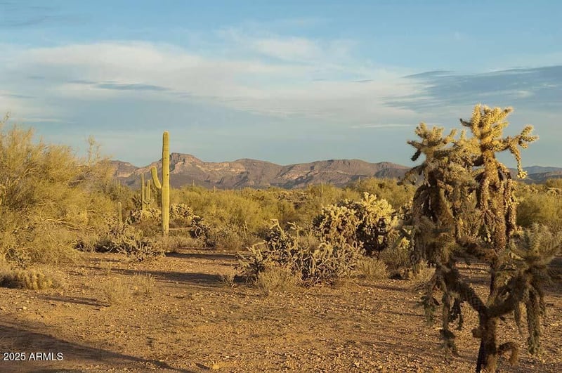 218XX Galvin St #4, Wittmann, AZ 85361