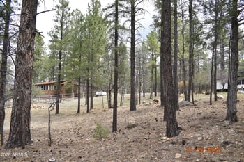 2194 Deer Ridge Dr, Happy Jack, AZ 86024