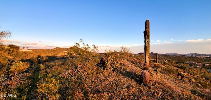 220 W Briles Rd #'''''', Phoenix, AZ 85085