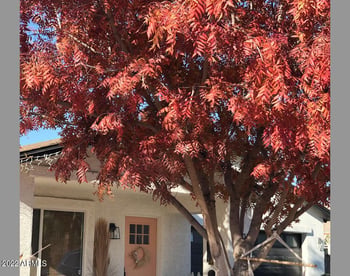 2202 N Evergreen St, Phoenix, AZ 85006