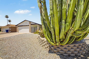 2210 Cholla St, Chandler, AZ 85224