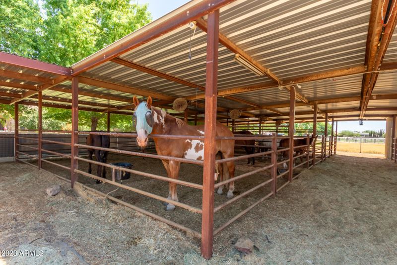 22117 S 118th St, Chandler, AZ 85249
