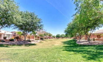 2225 San Carlos Pl, Chandler, AZ 85249