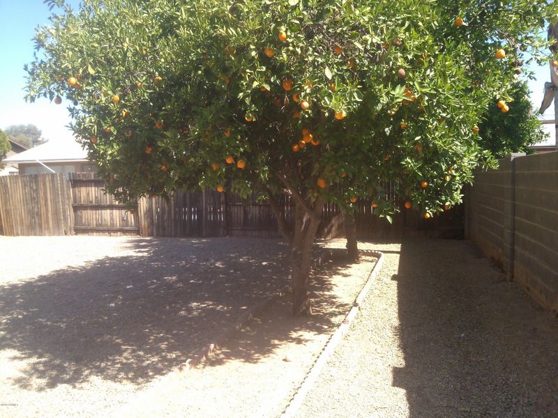 2226 E Edgewood Ave, Mesa, AZ 85204