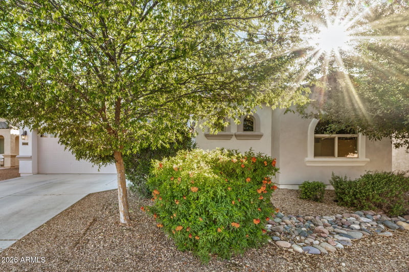22265 Via Del Oro --, Queen Creek, AZ 85142