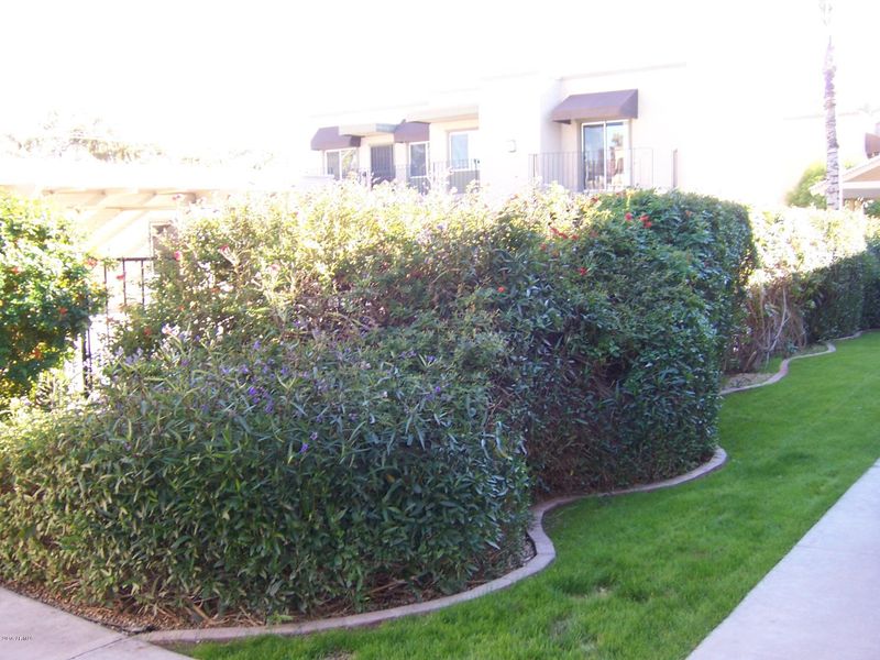 2228 E Campbell Ave #112, Phoenix, AZ 85016