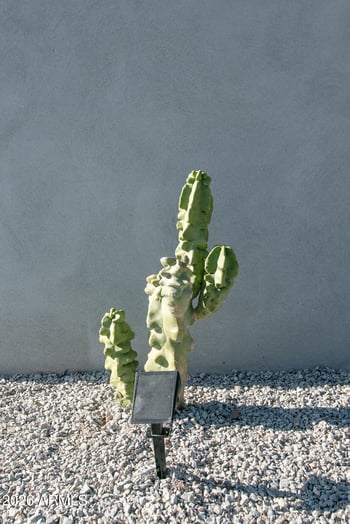 224 Aspen Ave, Gilbert, AZ 85233